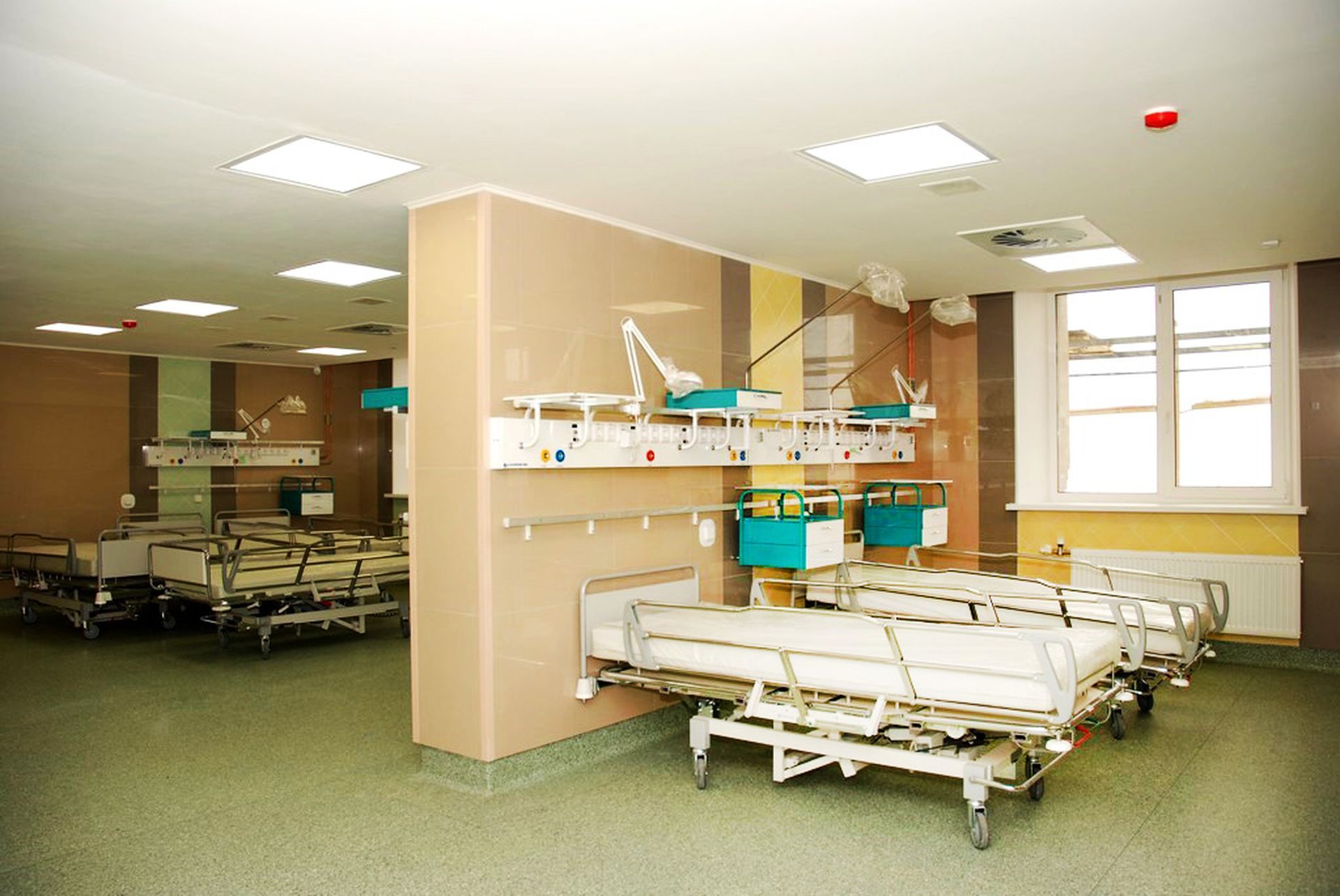 Ортопедические клиники петербурга